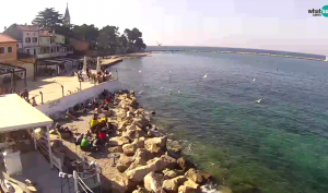 Novigrad webcam - Porporela